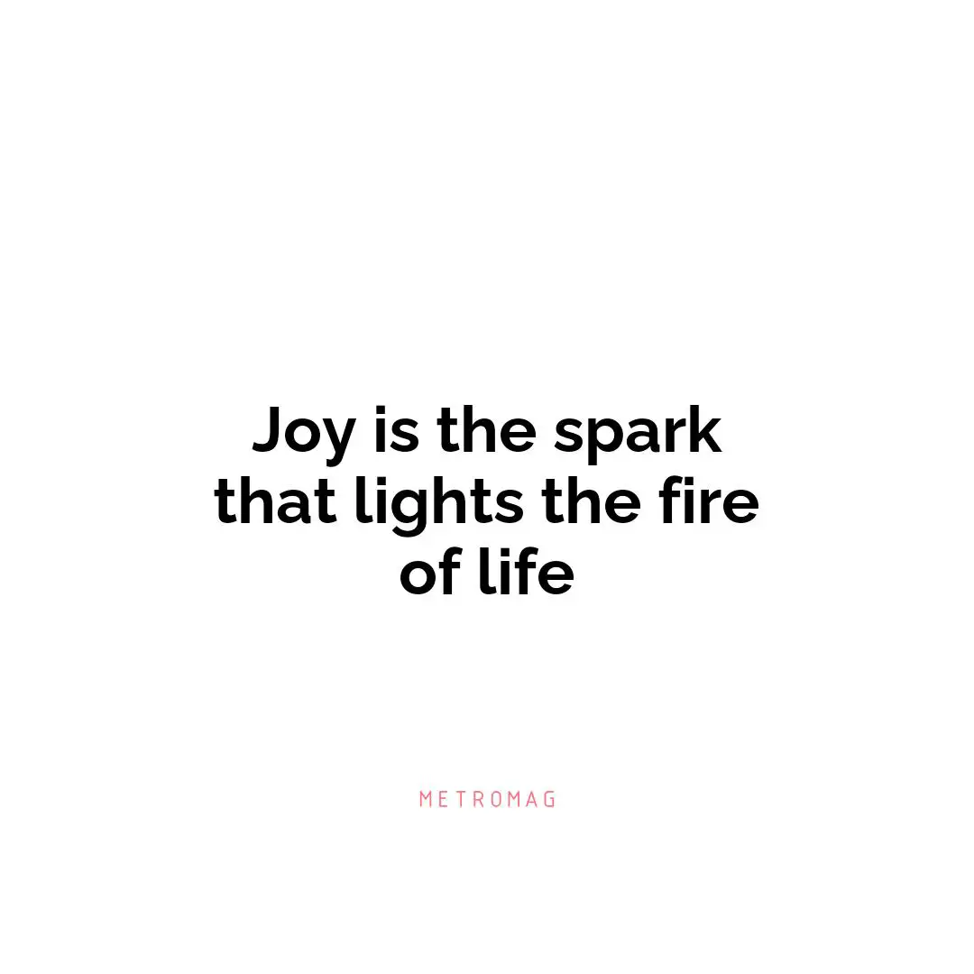 Joy is the spark that lights the fire of life