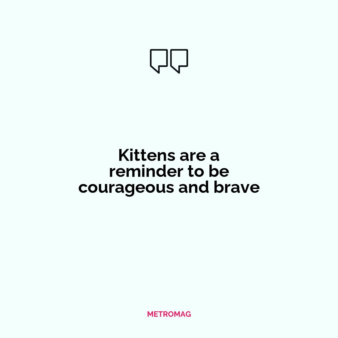 Kittens are a reminder to be courageous and brave