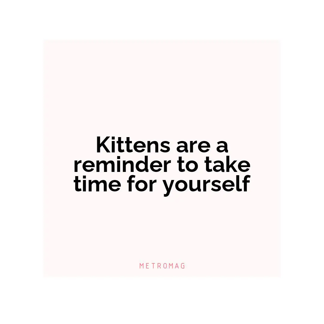 Kittens are a reminder to take time for yourself