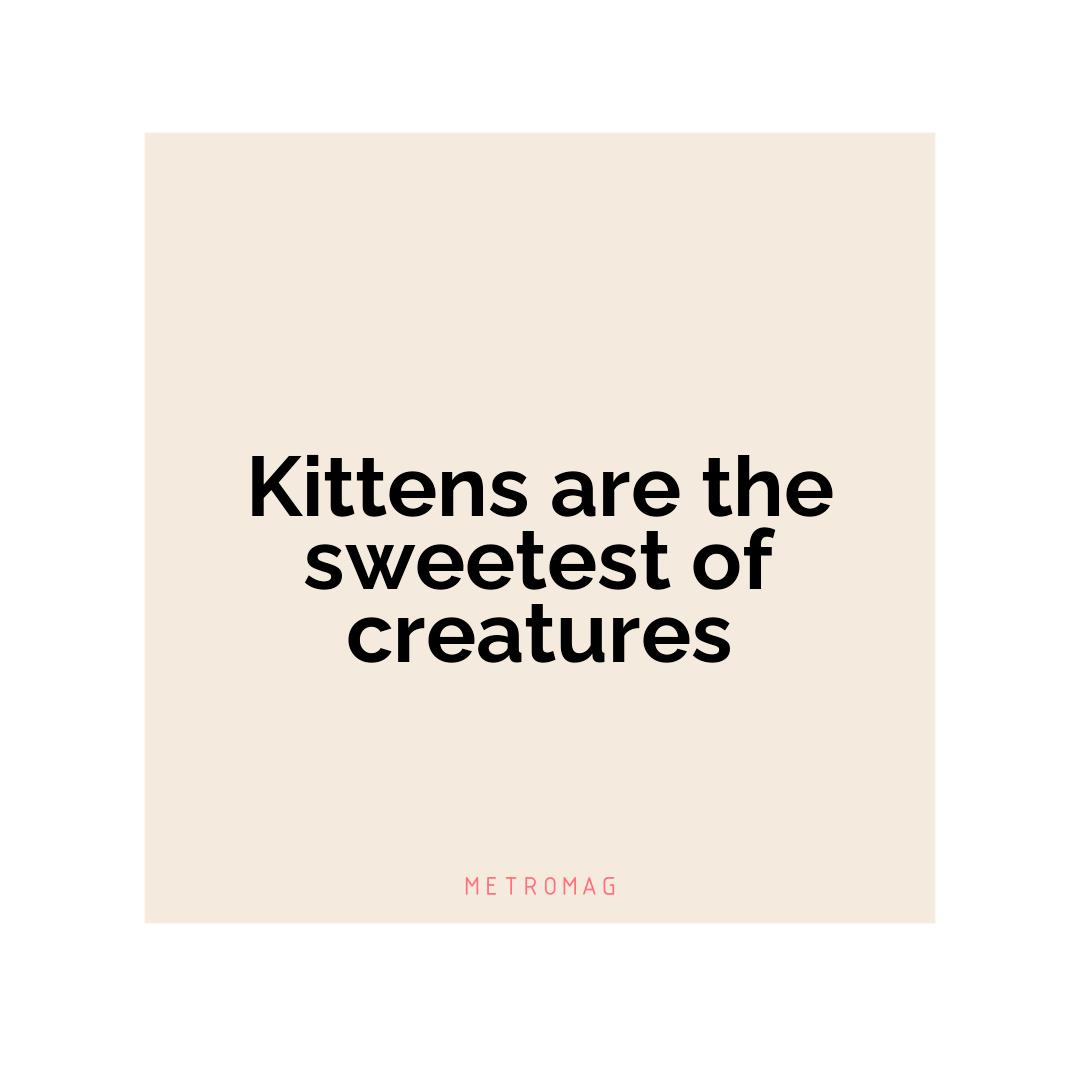 Kittens are the sweetest of creatures