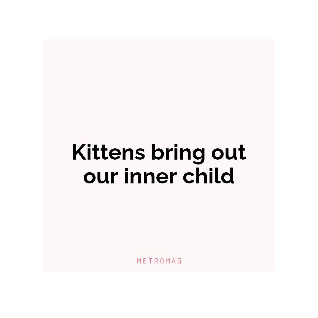 Kittens bring out our inner child