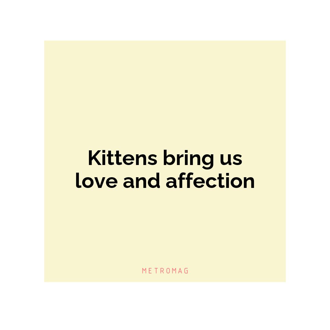 Kittens bring us love and affection
