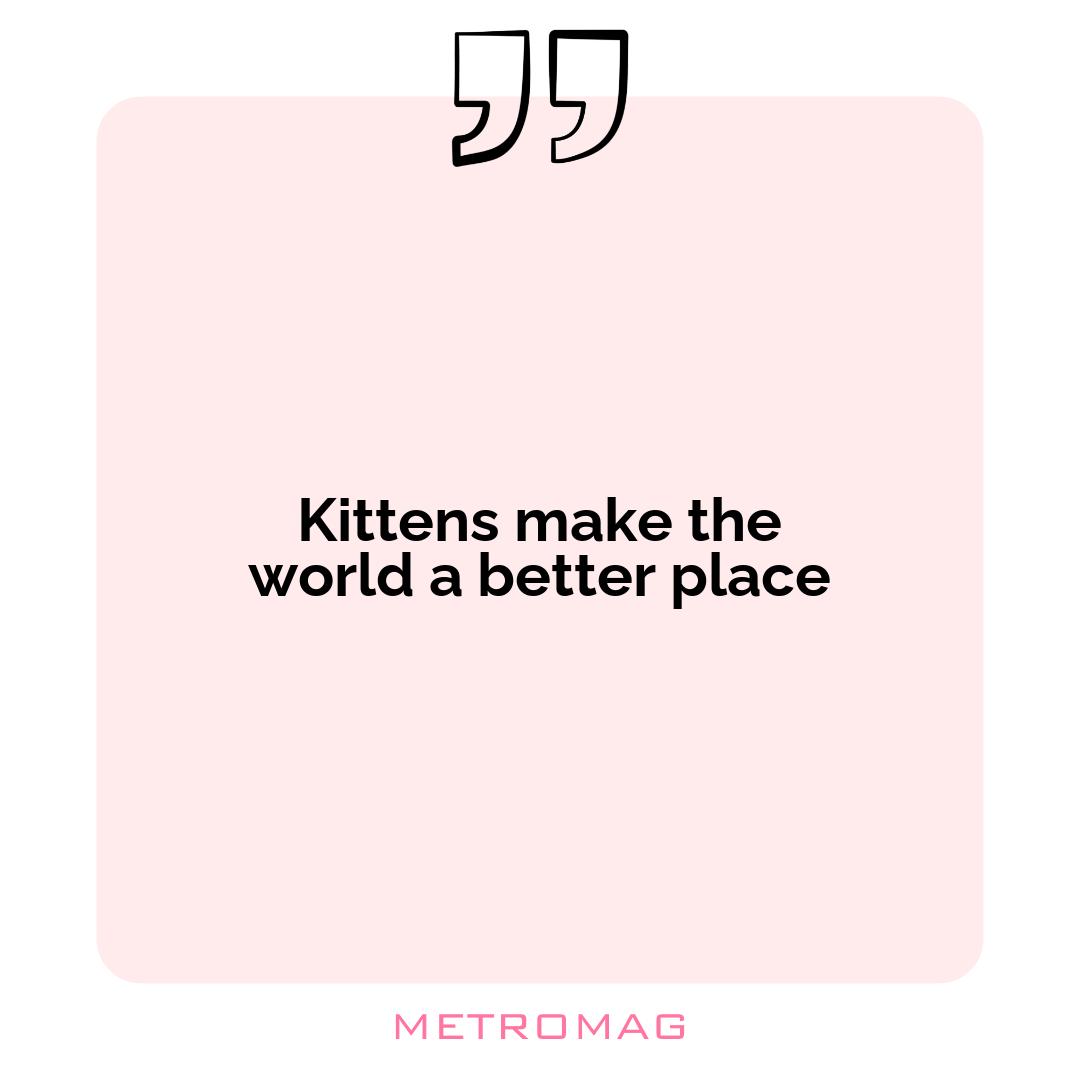 Kittens make the world a better place
