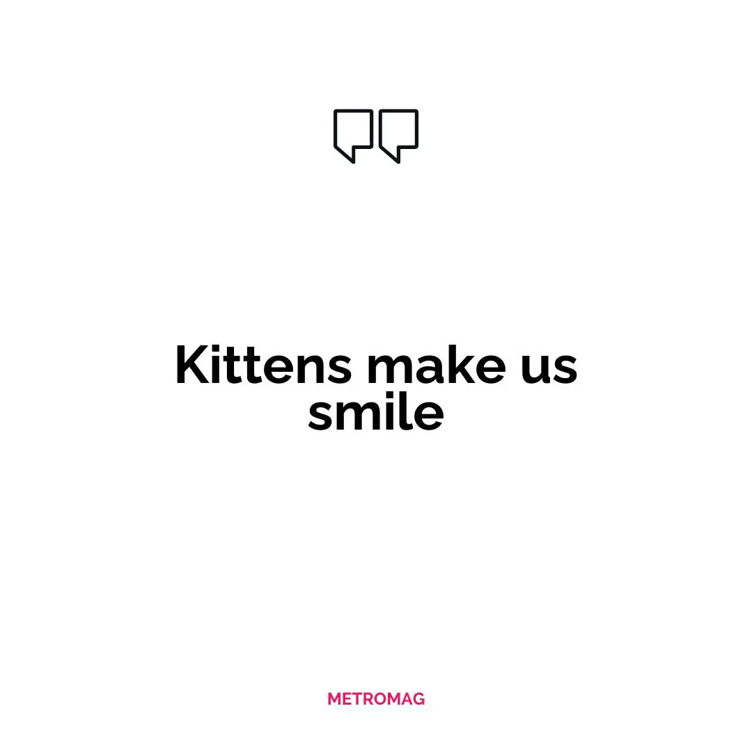 Kittens make us smile