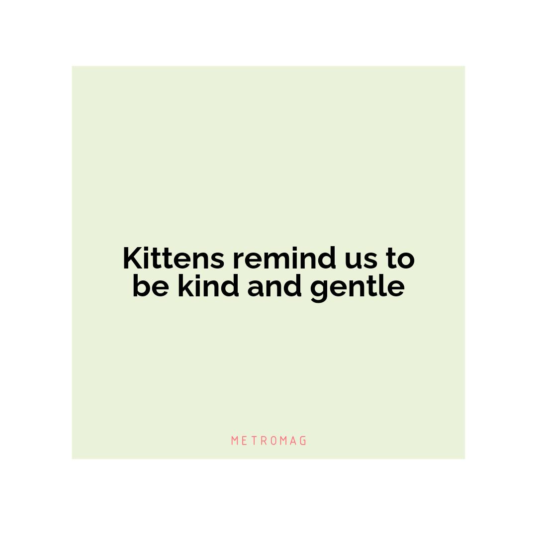 Kittens remind us to be kind and gentle