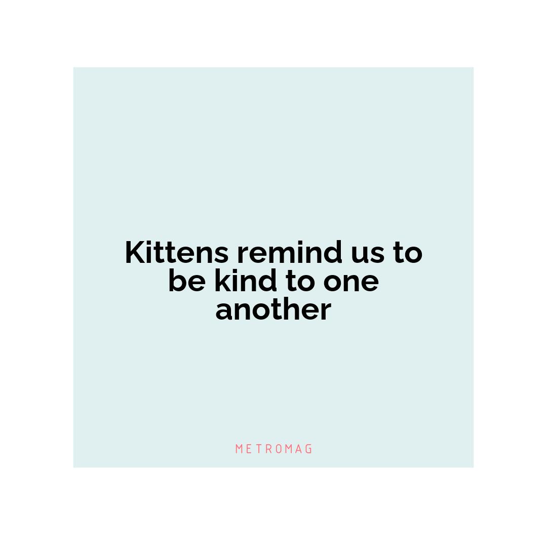 Kittens remind us to be kind to one another