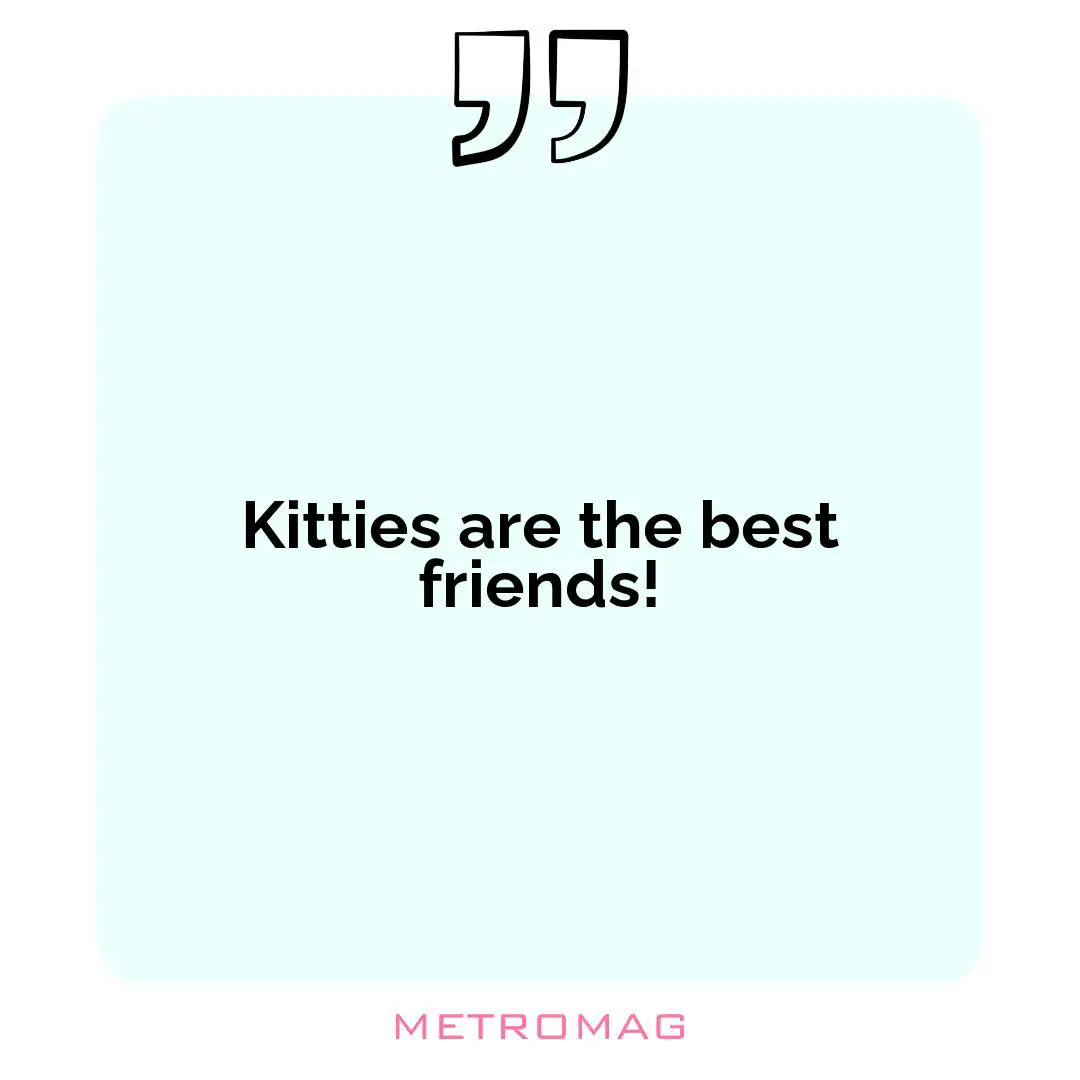Kitties are the best friends!
