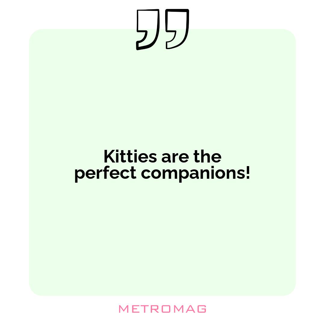Kitties are the perfect companions!