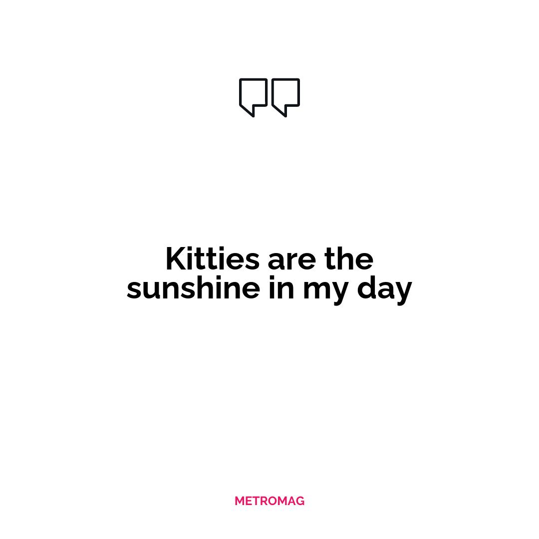 Kitties are the sunshine in my day