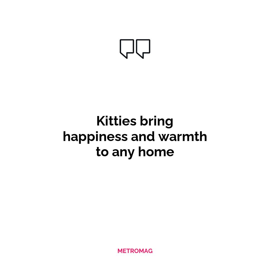 Kitties bring happiness and warmth to any home