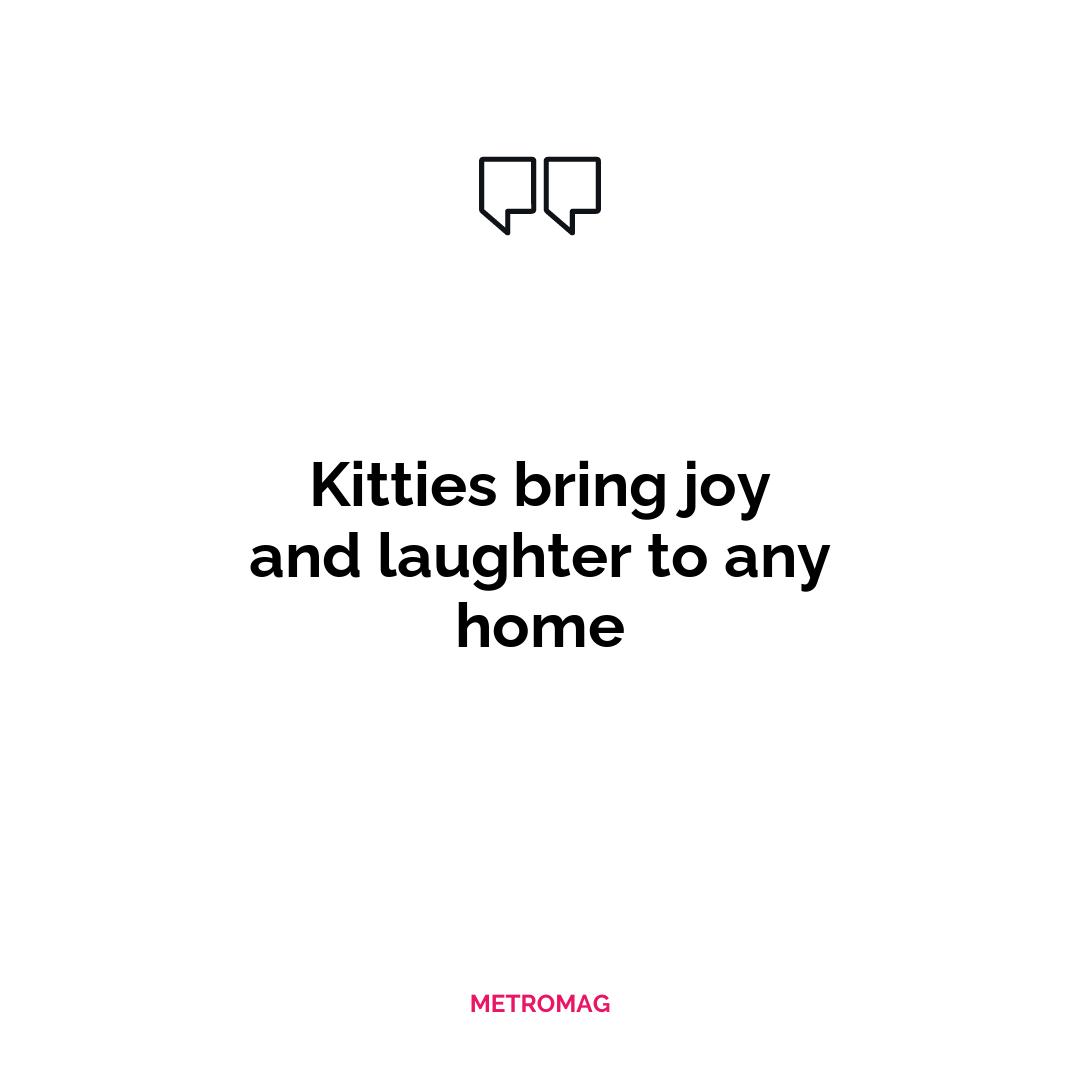 Kitties bring joy and laughter to any home