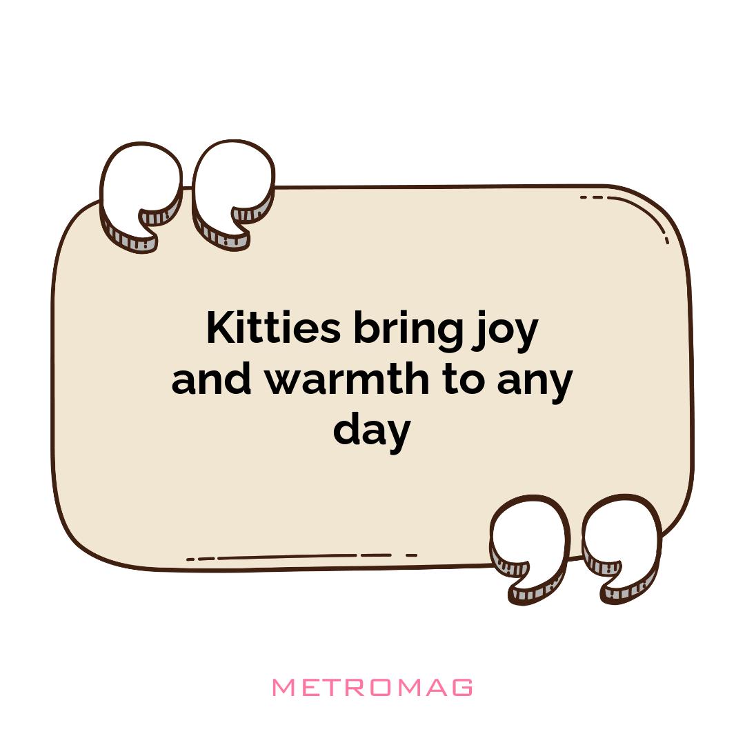Kitties bring joy and warmth to any day