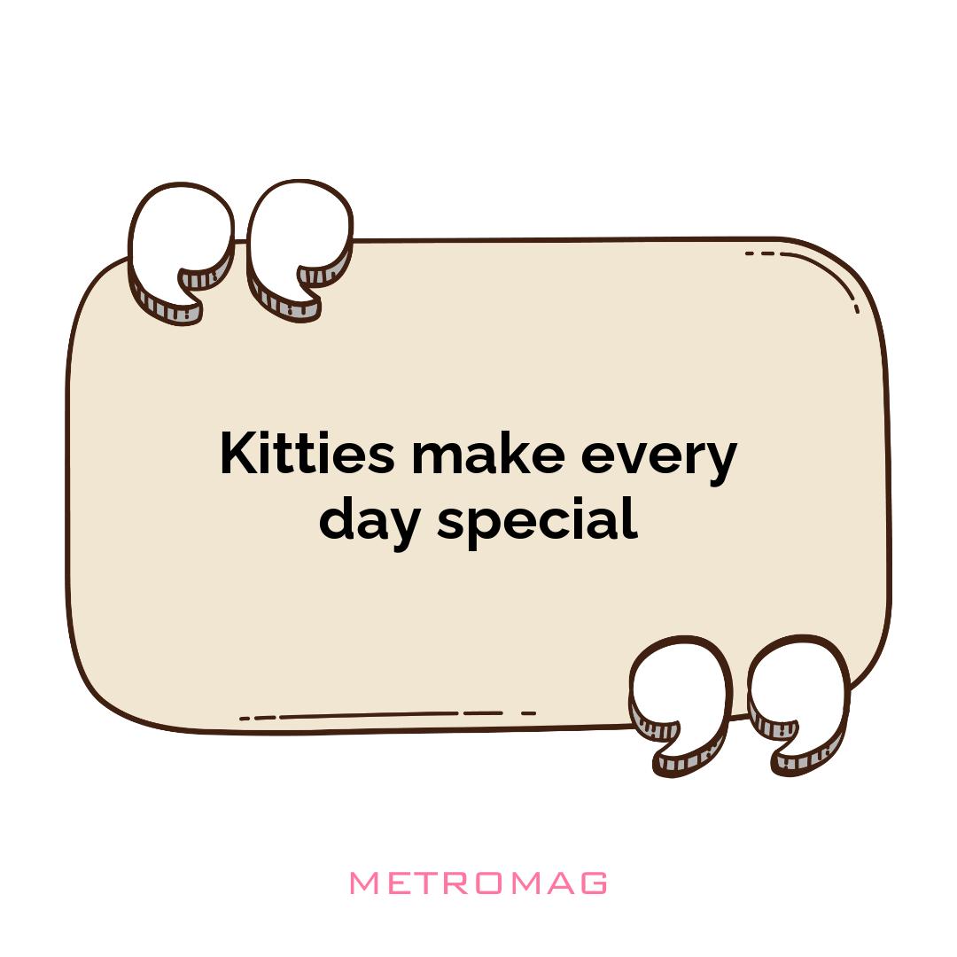 Kitties make every day special