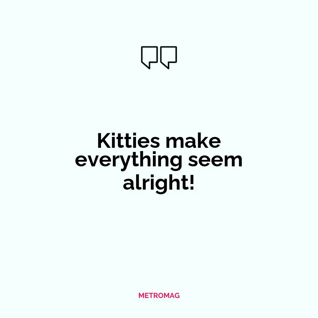 Kitties make everything seem alright!