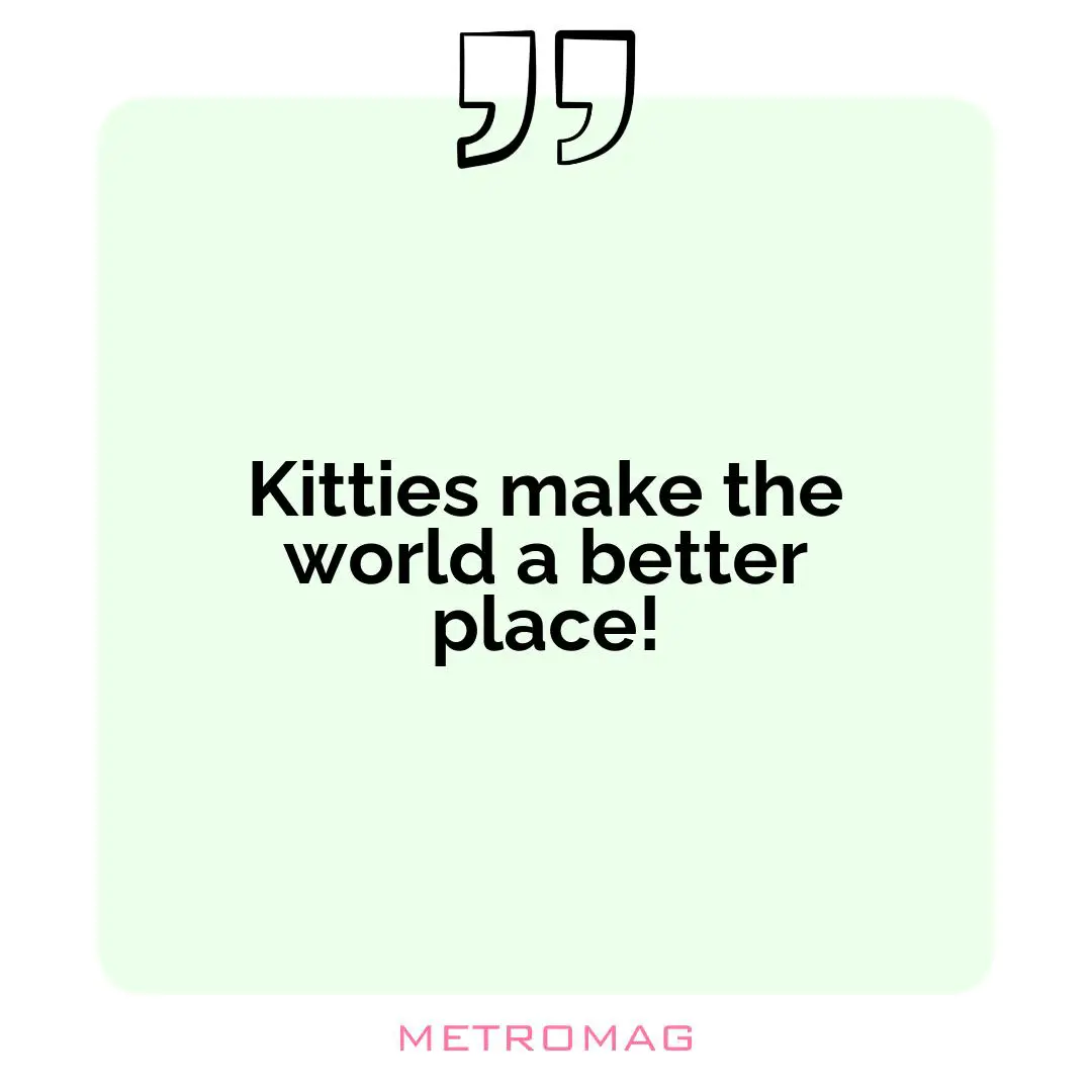 Kitties make the world a better place!