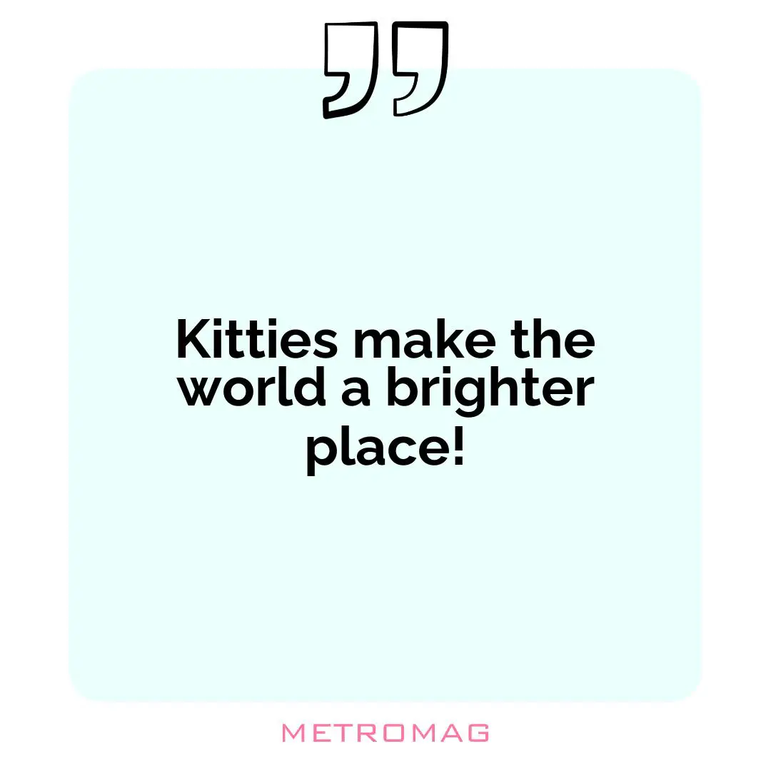 Kitties make the world a brighter place!