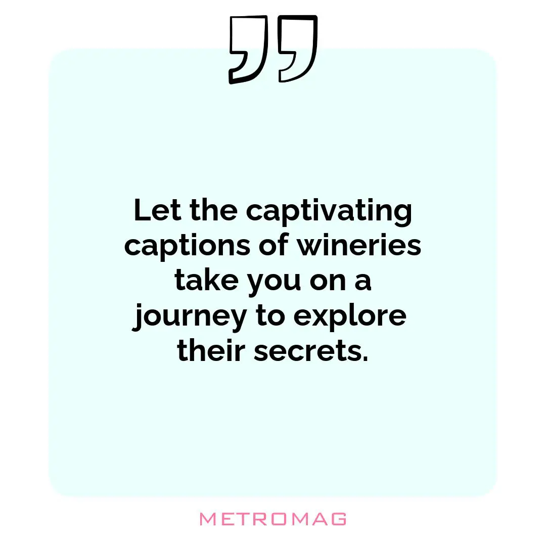 Let the captivating captions of wineries take you on a journey to explore their secrets.