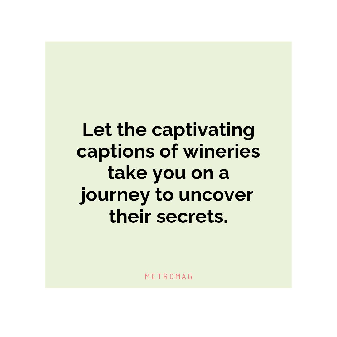 Let the captivating captions of wineries take you on a journey to uncover their secrets.