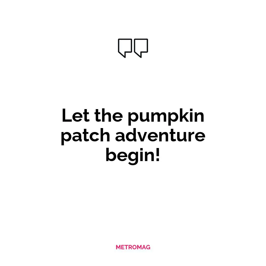 Let the pumpkin patch adventure begin!