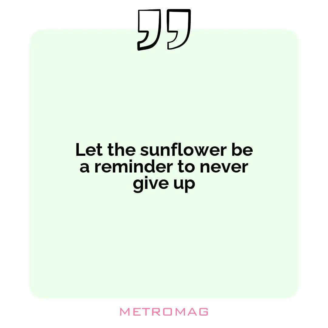 Let the sunflower be a reminder to never give up