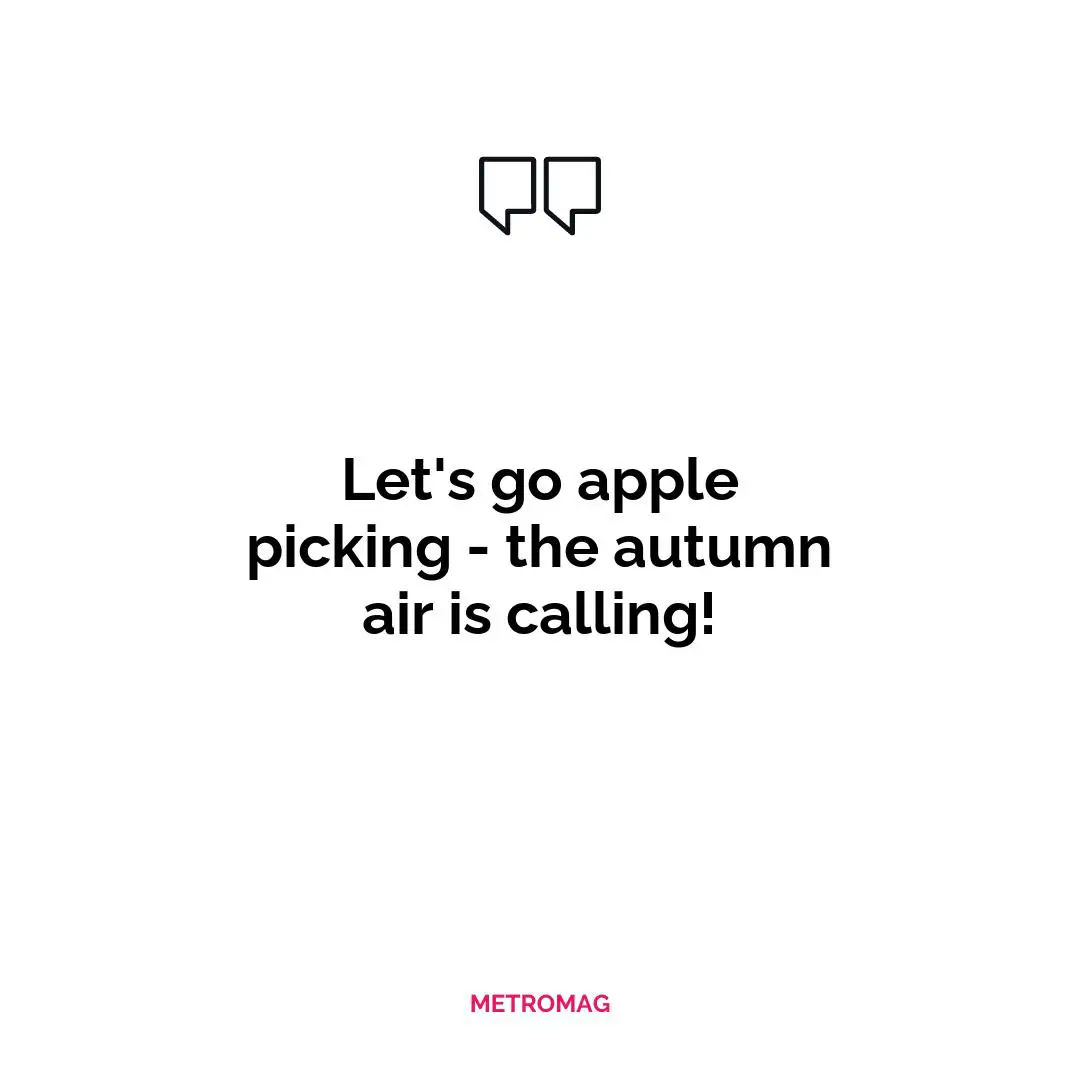Let's go apple picking - the autumn air is calling!
