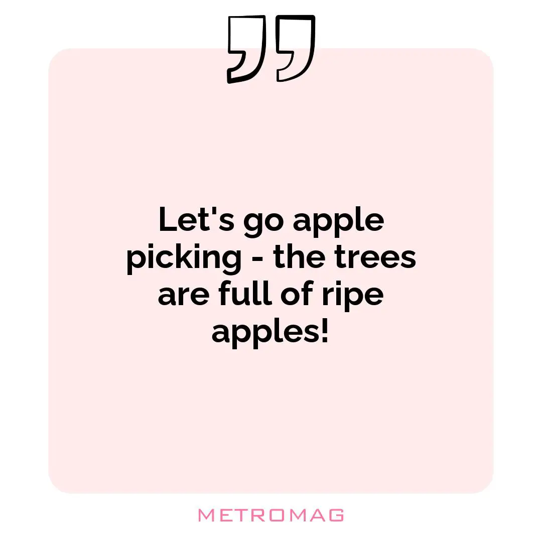 Let's go apple picking - the trees are full of ripe apples!