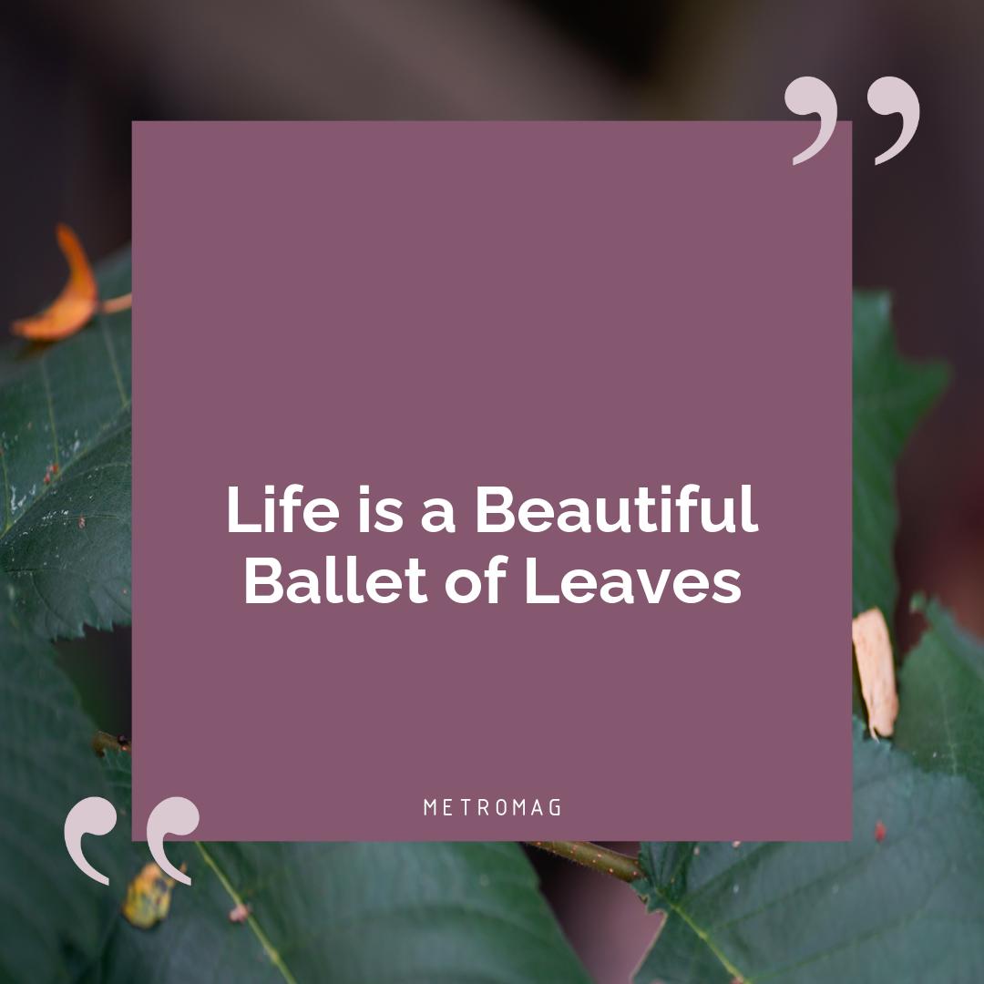 Life is a Beautiful Ballet of Leaves