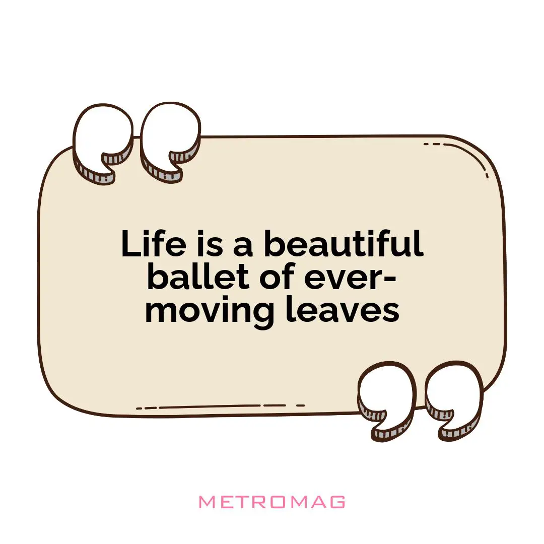 Life is a beautiful ballet of ever-moving leaves