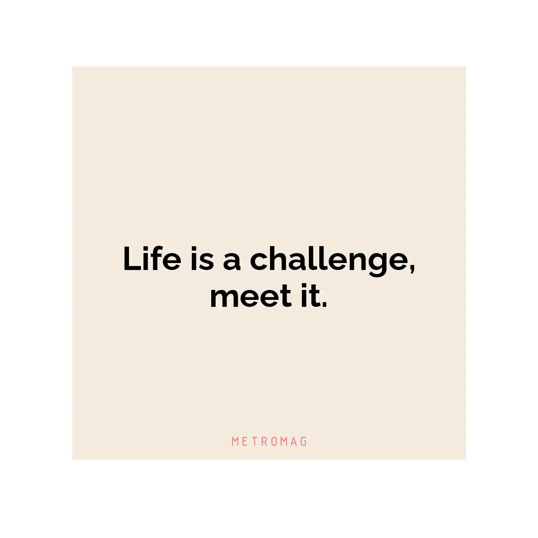 Life is a challenge, meet it.