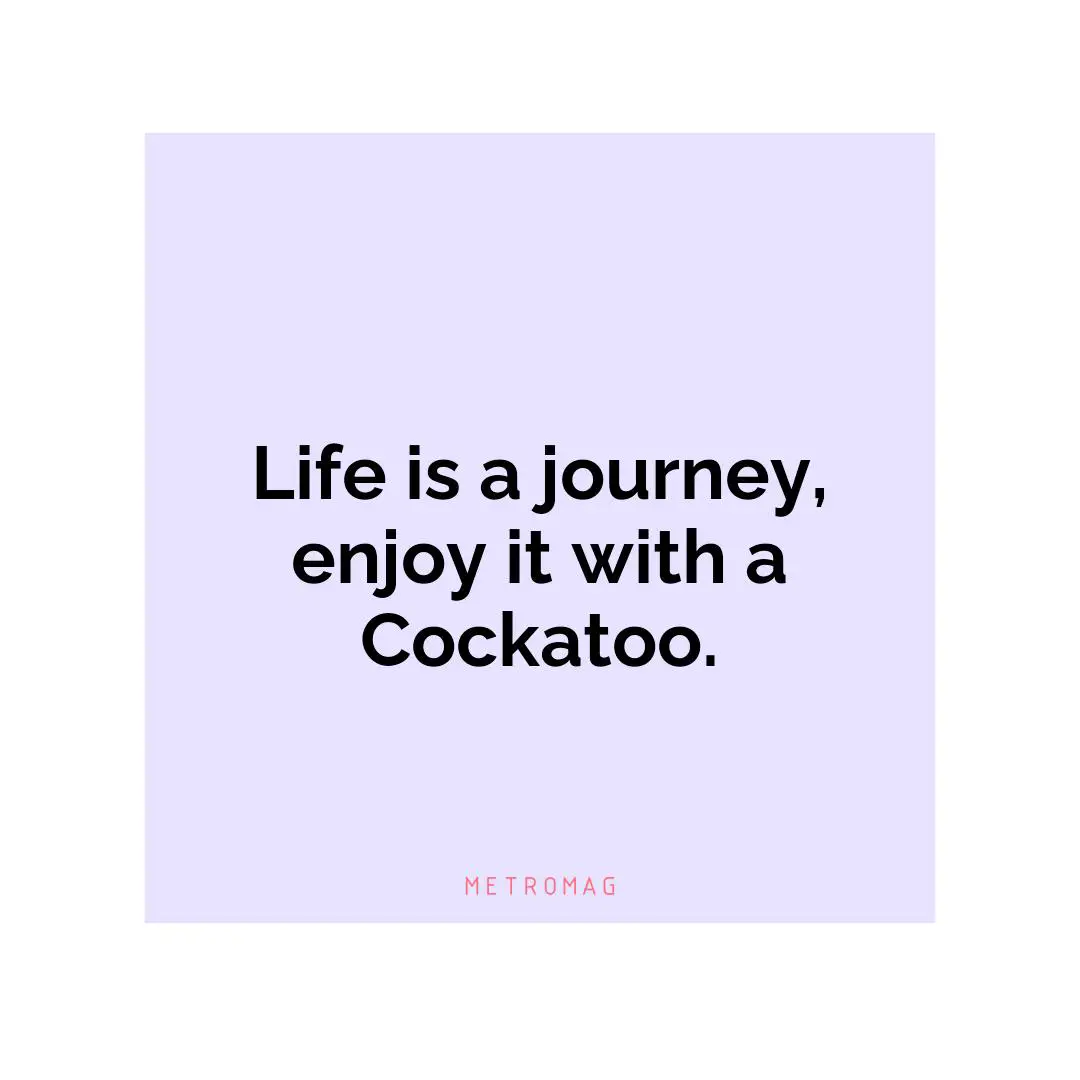 Life is a journey, enjoy it with a Cockatoo.