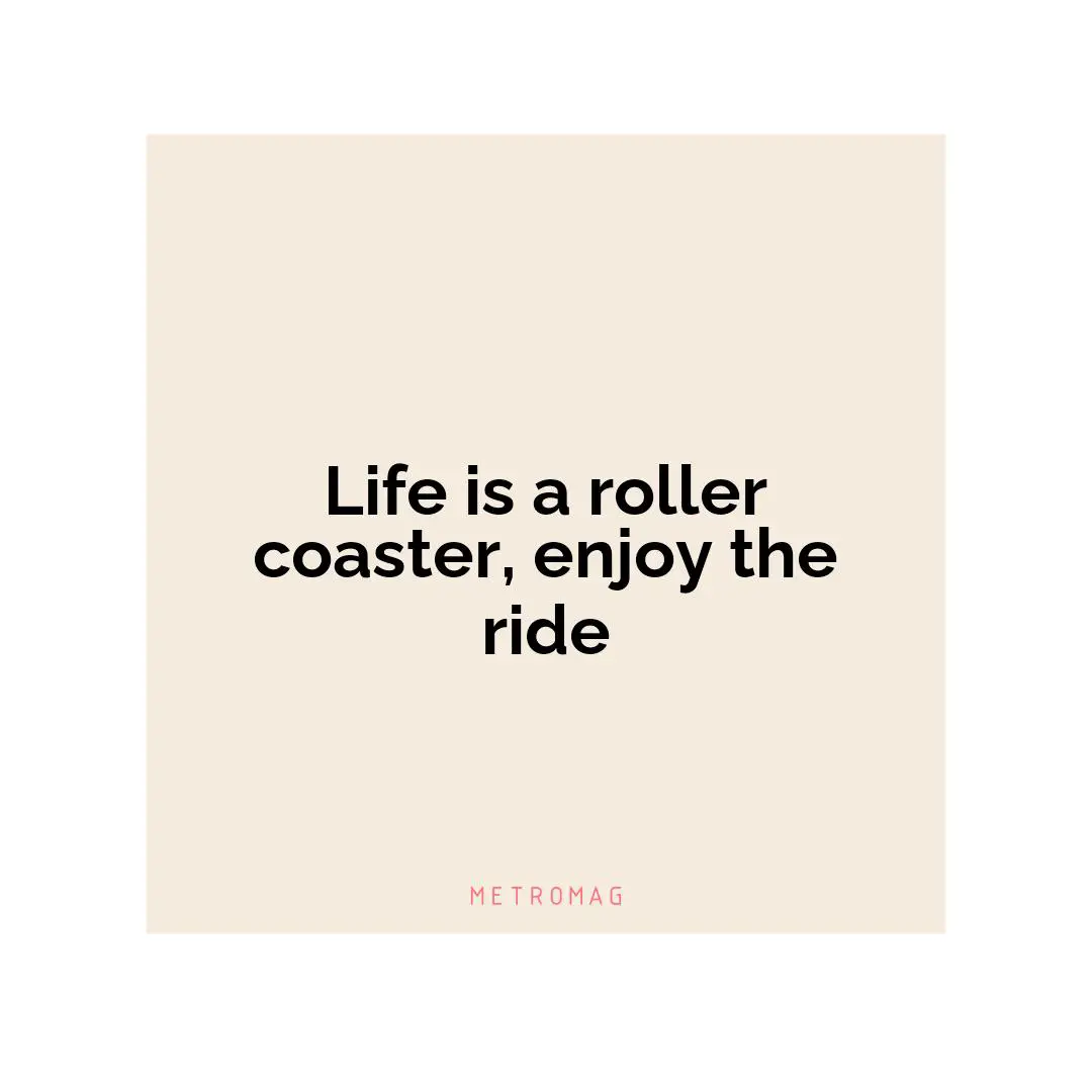 Life is a roller coaster, enjoy the ride