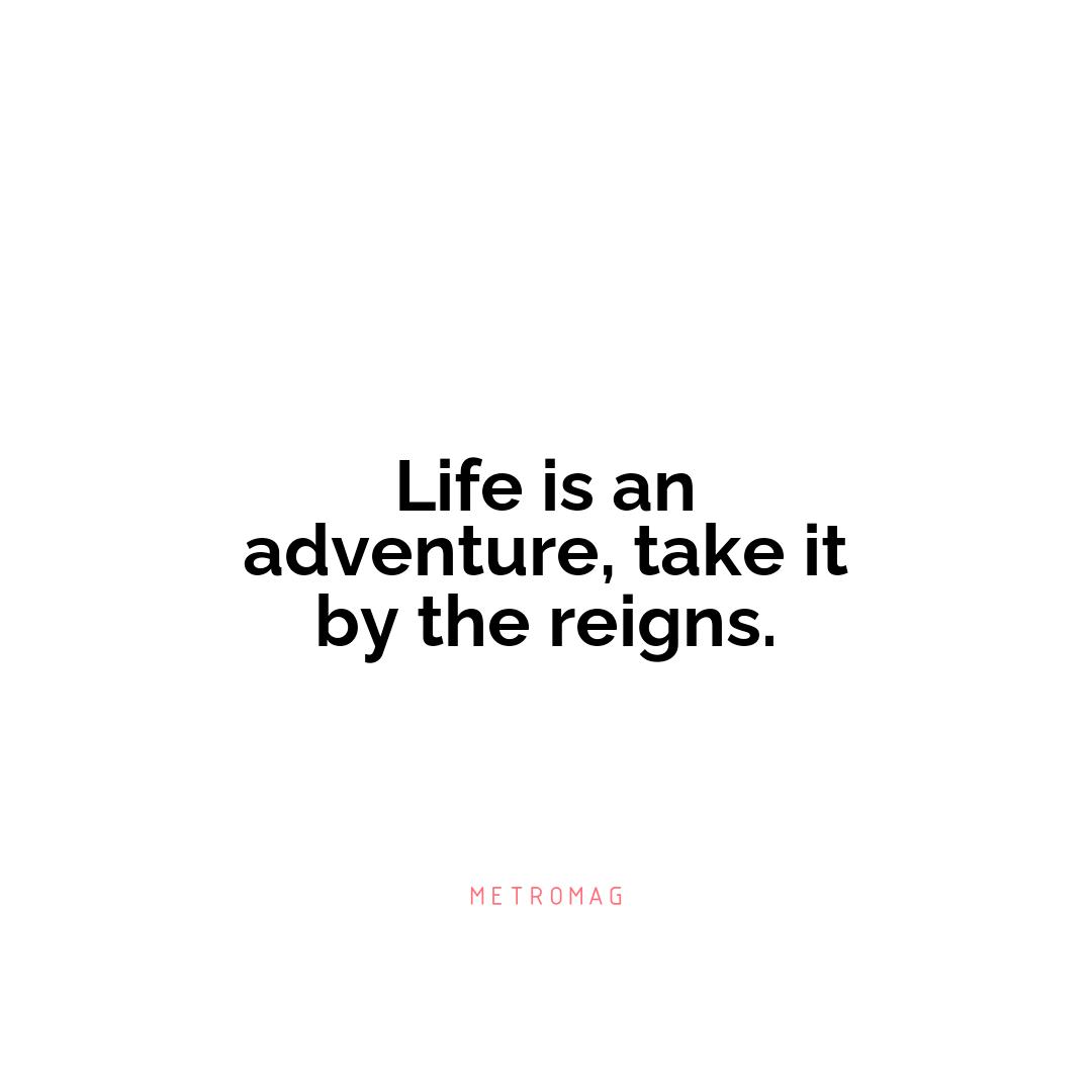Life is an adventure, take it by the reigns.