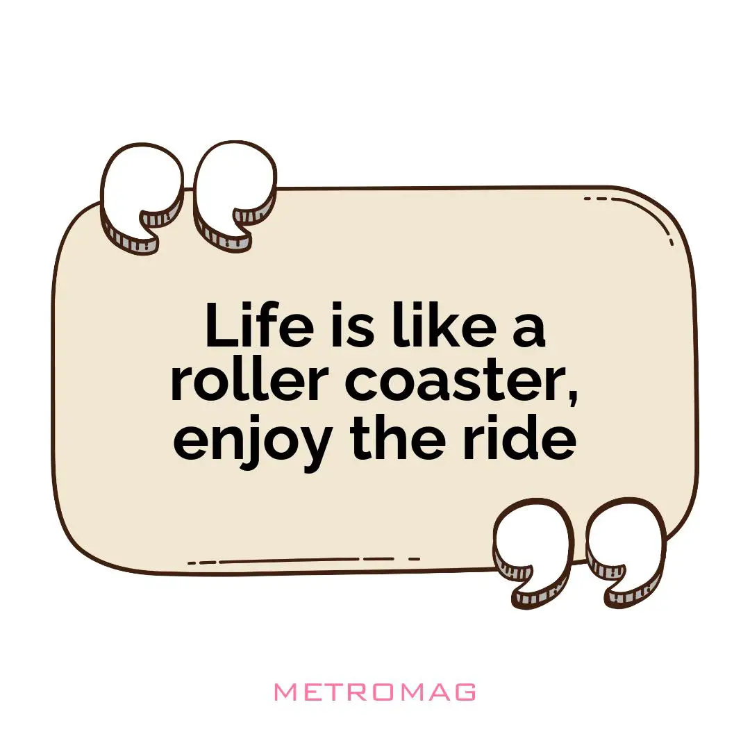 Life is like a roller coaster, enjoy the ride