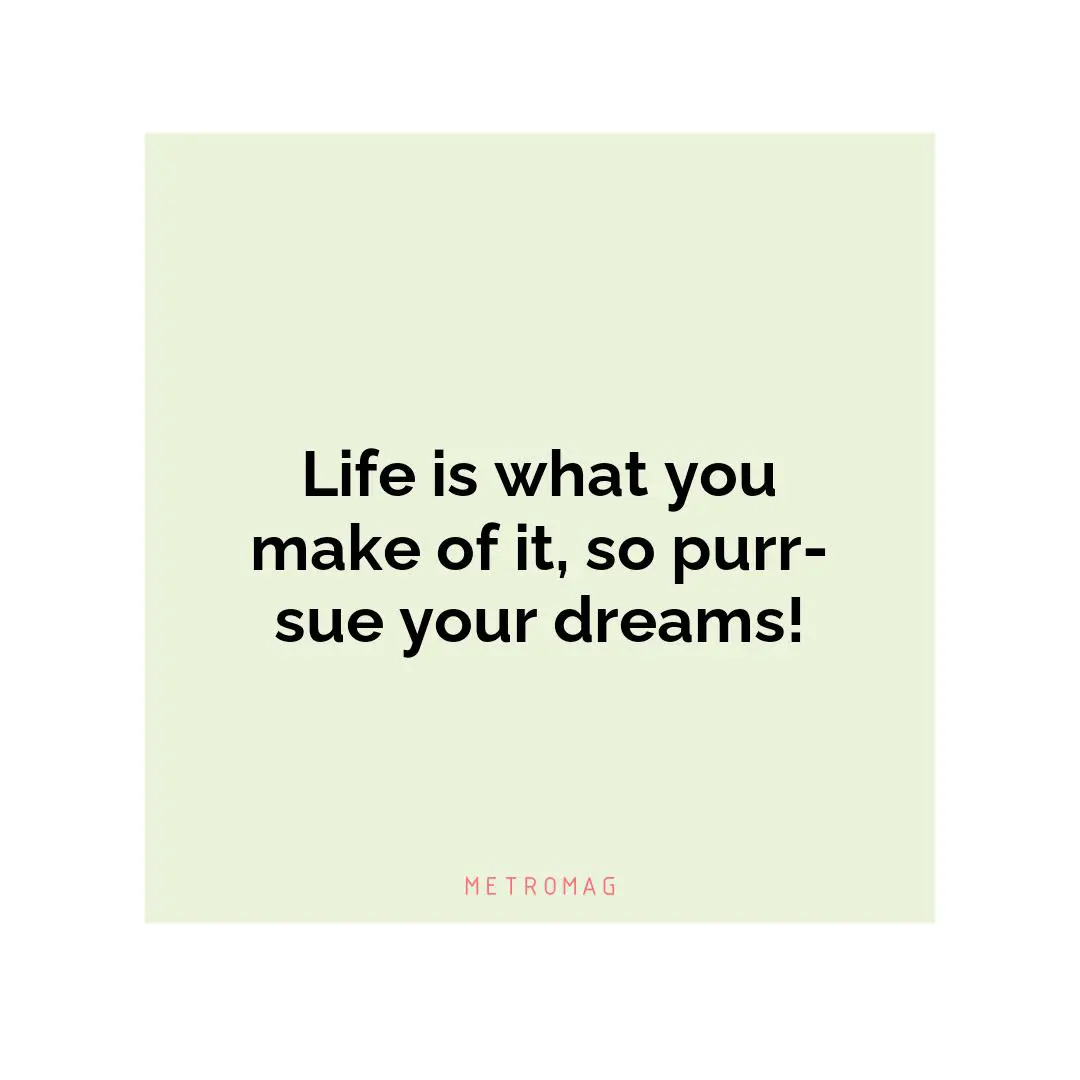 Life is what you make of it, so purr-sue your dreams!
