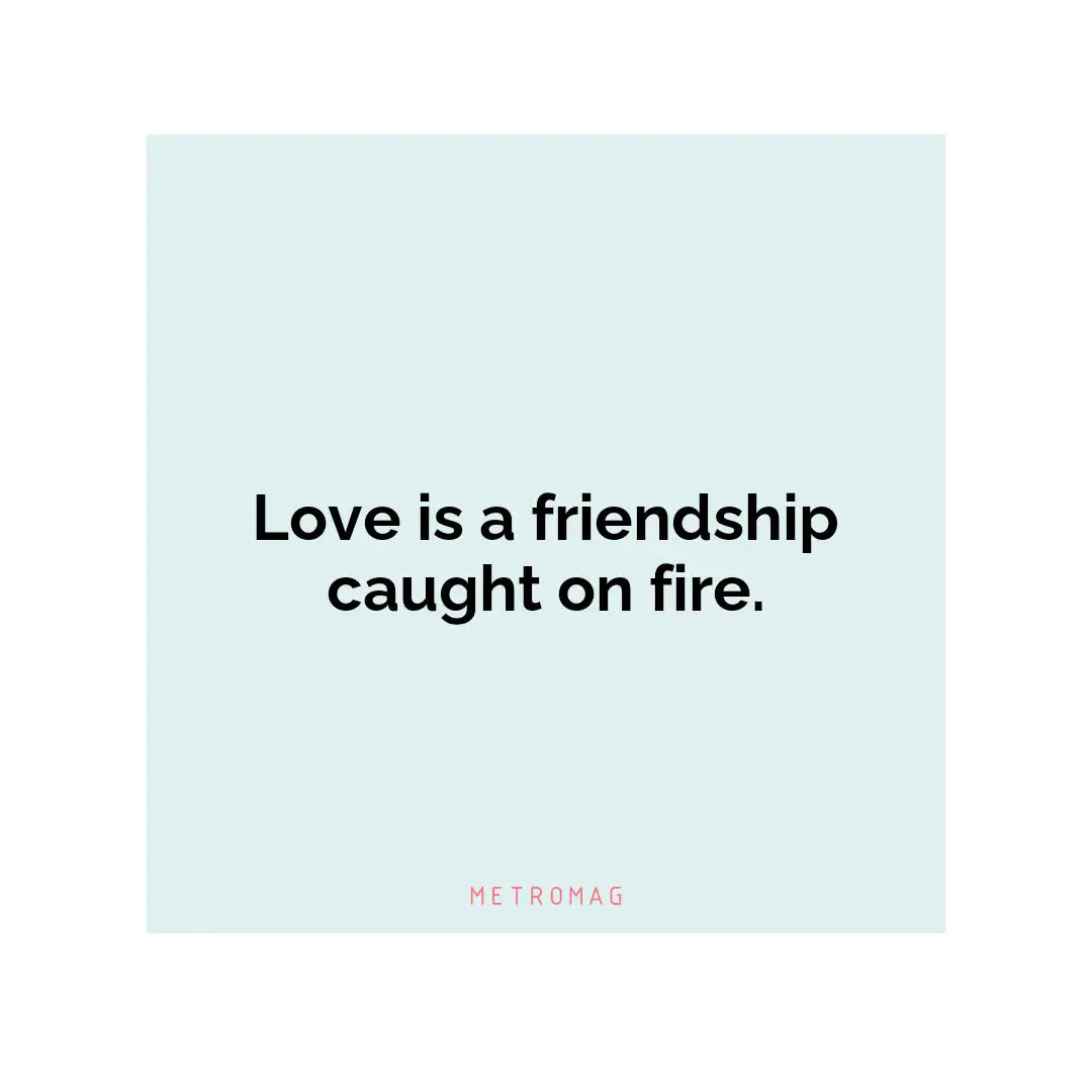 Love is a friendship caught on fire.