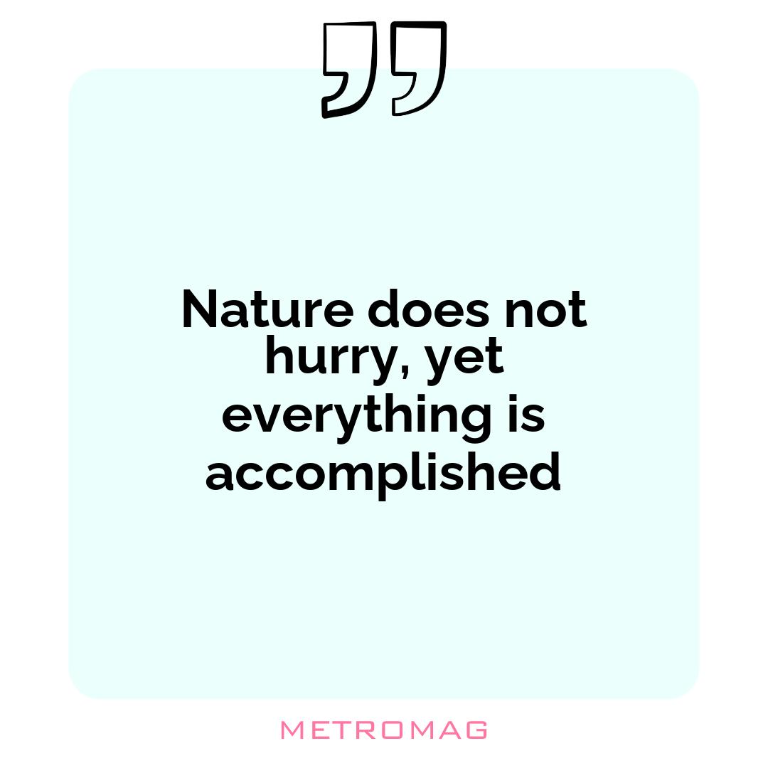 Nature does not hurry, yet everything is accomplished