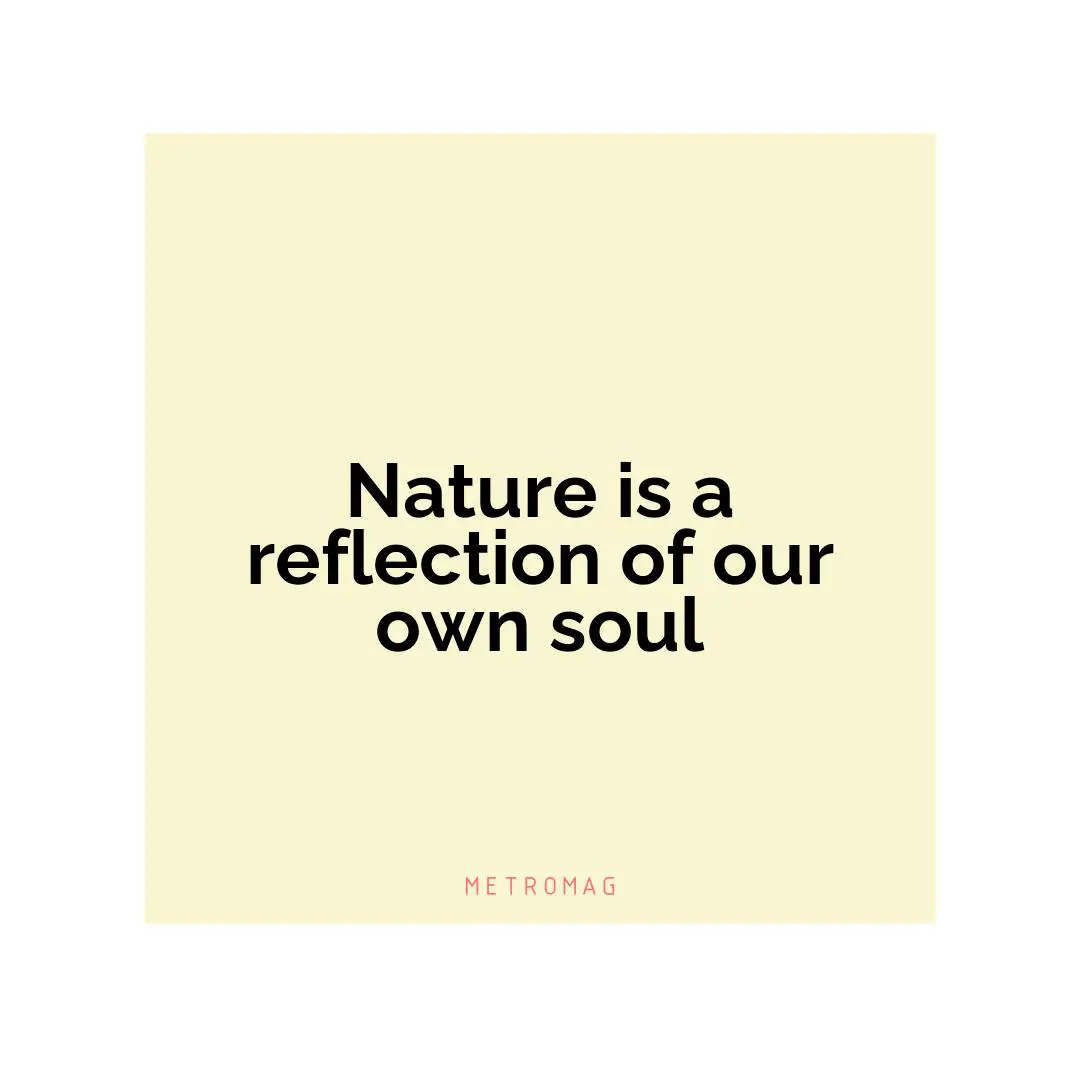 Nature is a reflection of our own soul