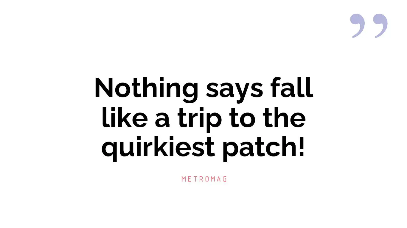 Nothing says fall like a trip to the quirkiest patch!
