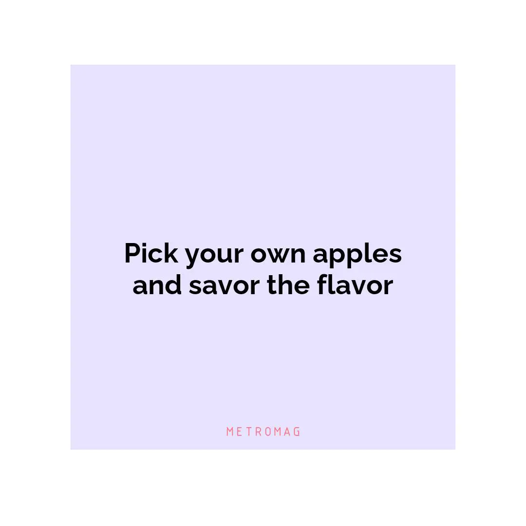 Pick your own apples and savor the flavor