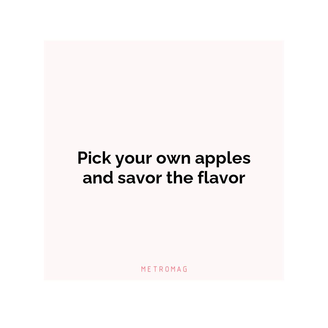 Pick your own apples and savor the flavor