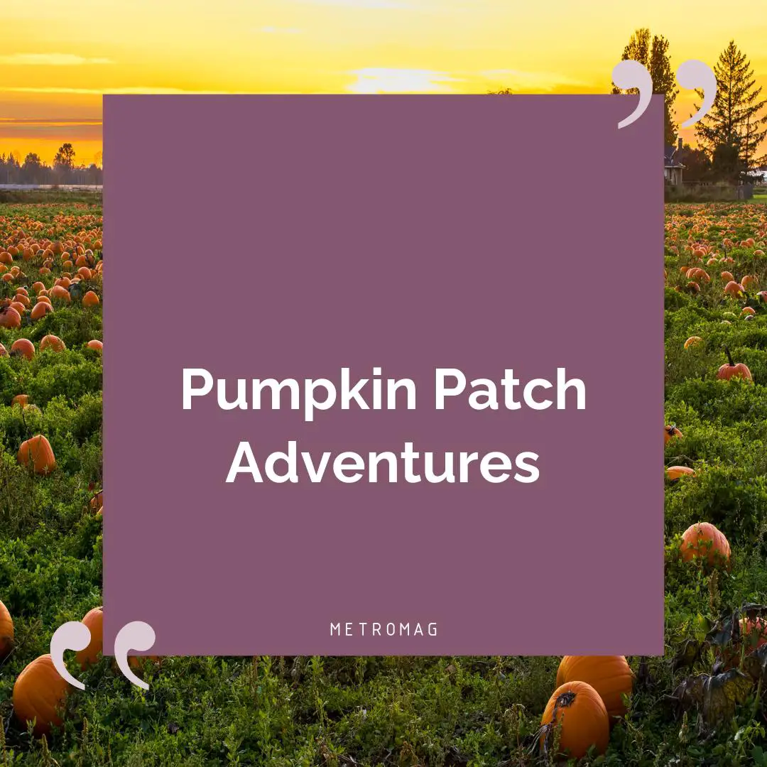 Pumpkin Patch Adventures