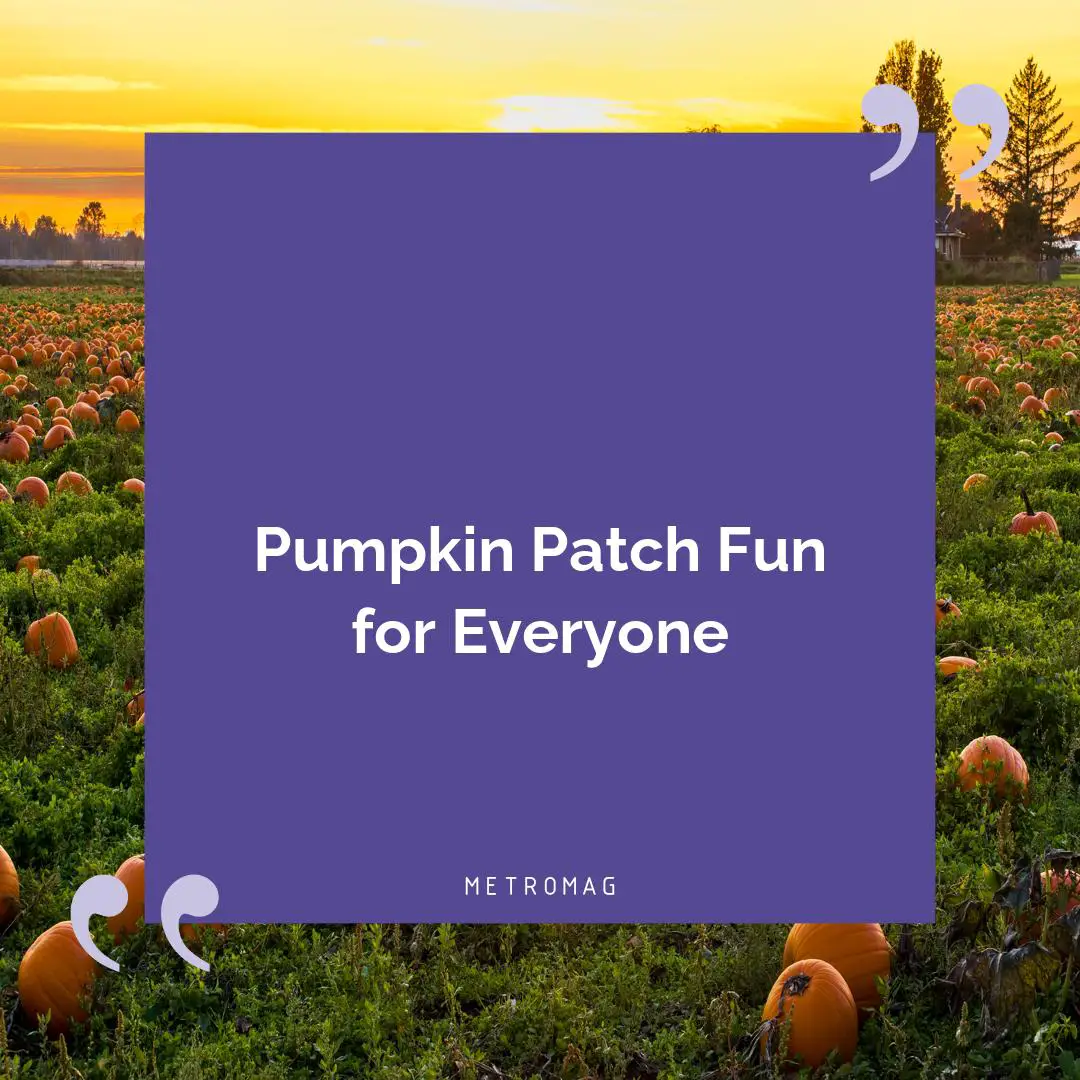 Pumpkin Patch Fun for Everyone