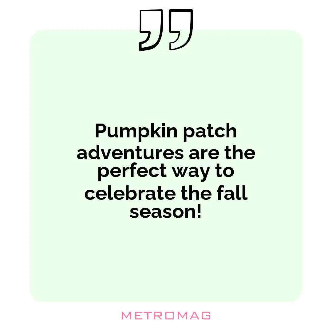 Pumpkin patch adventures are the perfect way to celebrate the fall season!