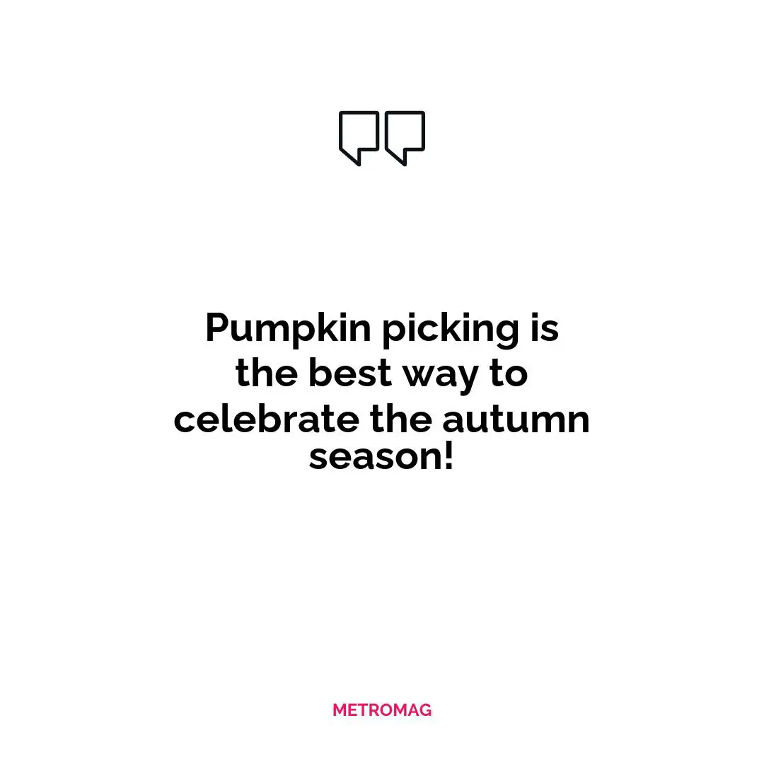 Pumpkin picking is the best way to celebrate the autumn season!