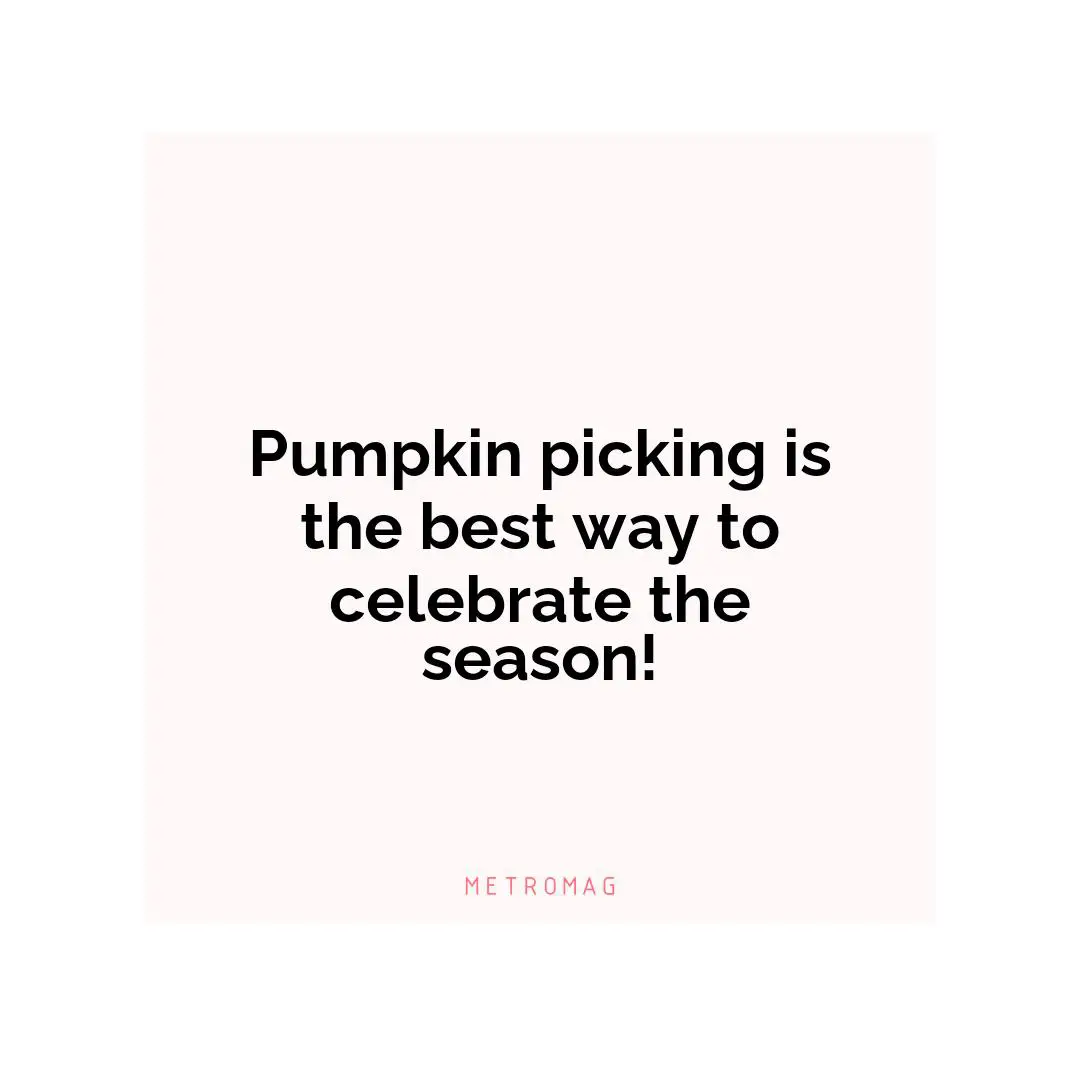 Pumpkin picking is the best way to celebrate the season!