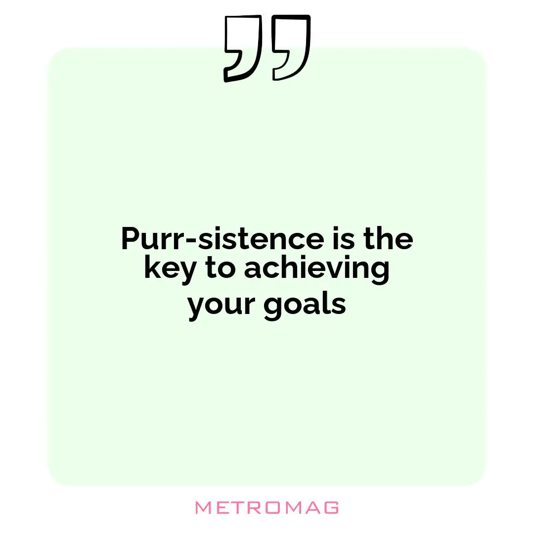 Purr-sistence is the key to achieving your goals