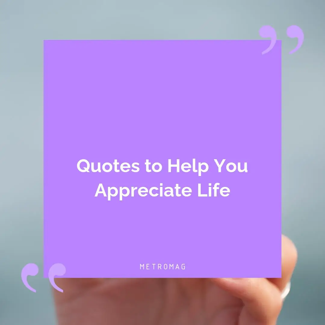 Quotes to Help You Appreciate Life