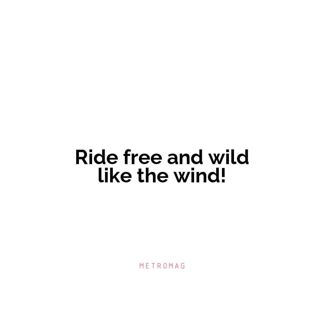 Ride free and wild like the wind!