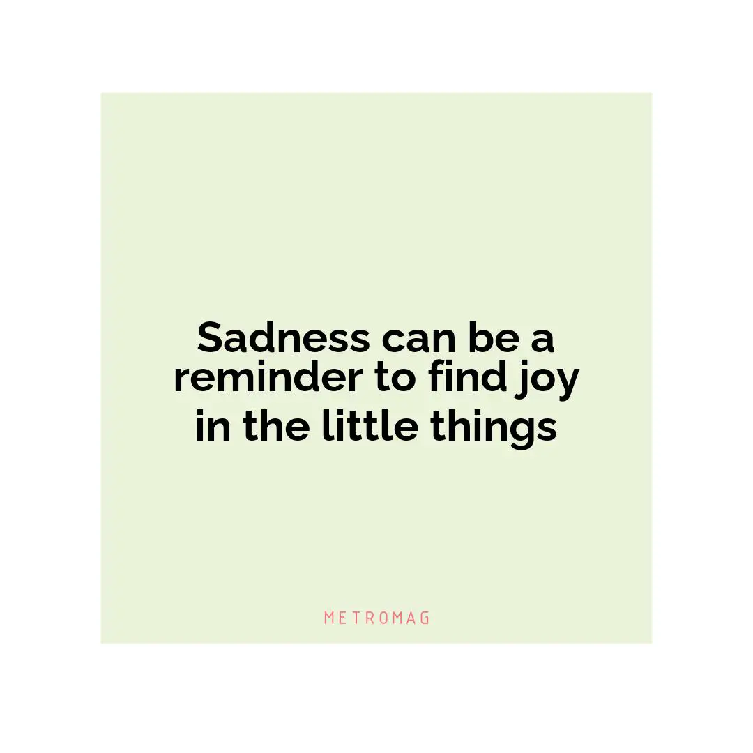 Sadness can be a reminder to find joy in the little things
