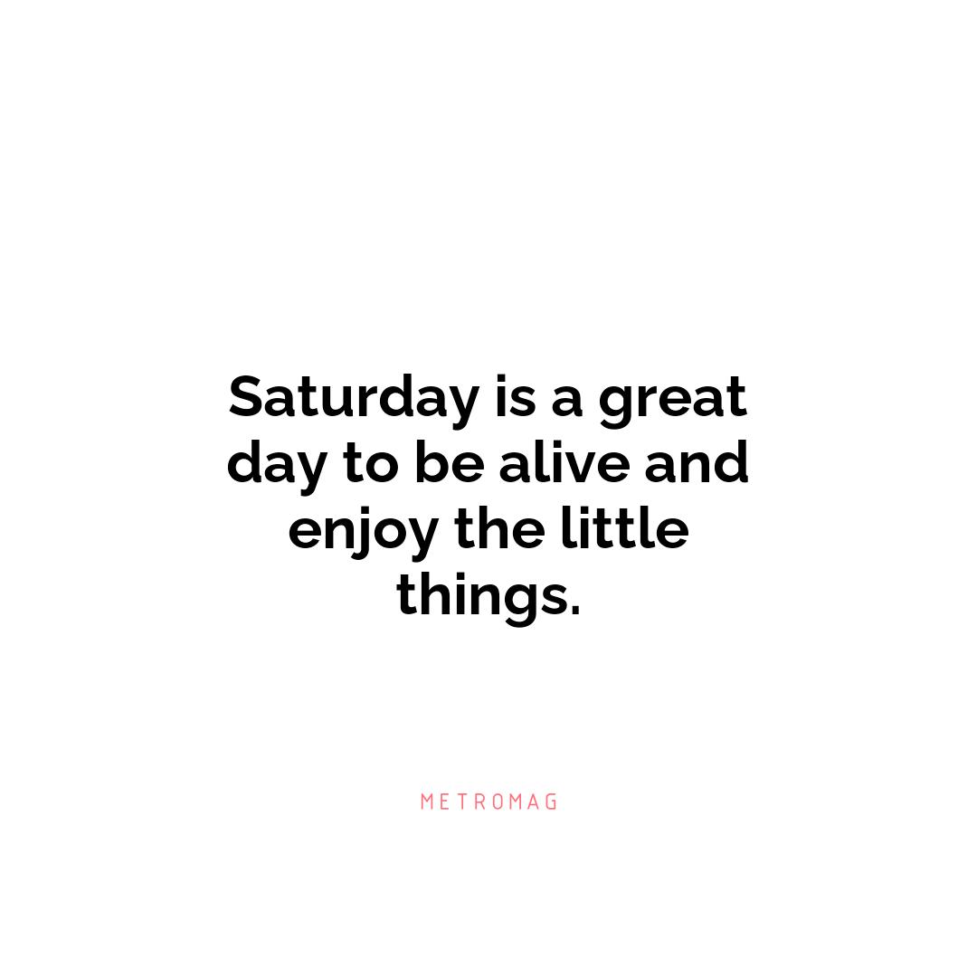 Saturday is a great day to be alive and enjoy the little things.